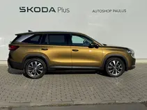 Kodiaq Exclusive Selection