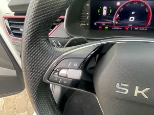 Škoda Kamiq Monte Carlo