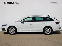 Octavia Fresh