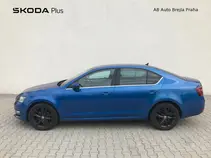 Octavia 