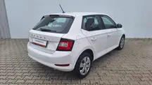 Fabia Active