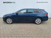 Octavia 