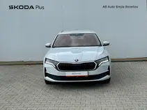 Octavia 