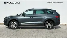 Kodiaq Style