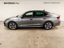 Octavia 