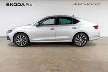 Octavia 