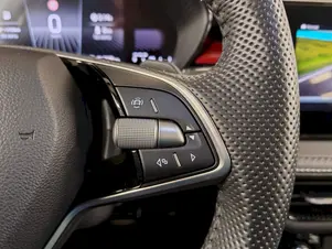 Škoda Fabia Monte Carlo