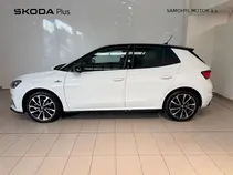 Fabia Monte Carlo