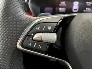 Škoda Fabia Monte Carlo