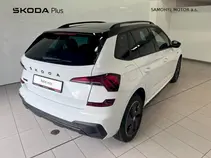 Kamiq Monte Carlo