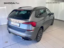 Kamiq Monte Carlo