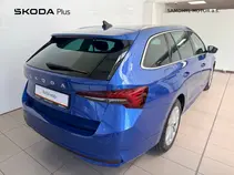 Octavia Top Selection