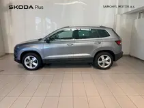 Karoq Style