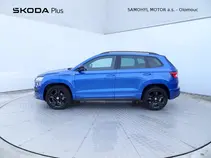 Karoq 