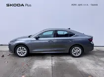 Octavia Style Plus