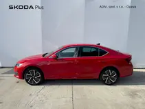 Octavia Exclusive Selection