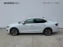 Octavia Exclusive Selection