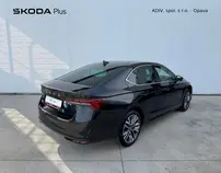 Octavia Exclusive Selection