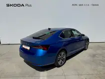 Octavia Exclusive Selection