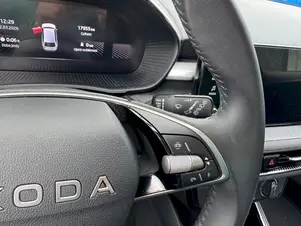 Škoda Fabia Selection