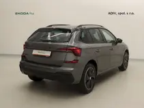 Kamiq Monte Carlo