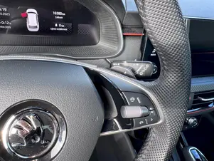 Škoda Kamiq Monte Carlo