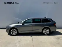Octavia Exclusive Selection