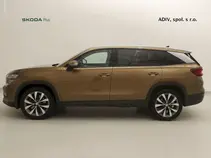Kodiaq Exclusive Selection