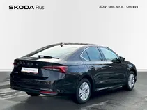 Octavia Top Selection