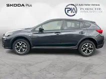XV 