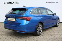 Octavia Exclusive Selection