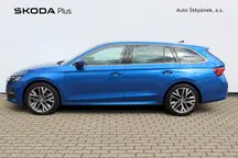Octavia Exclusive Selection