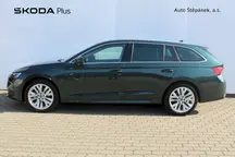 Octavia Exclusive Selection