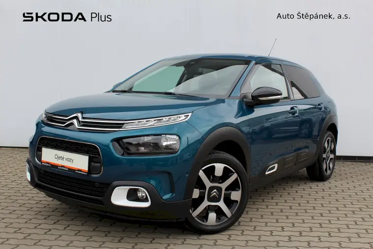 C4 Cactus