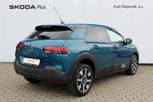 C4 Cactus