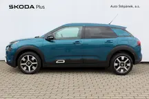 C4 Cactus