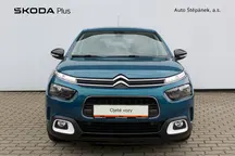 C4 Cactus 