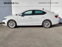 Octavia 