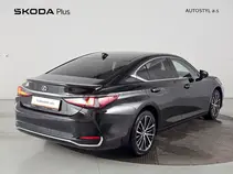 ES 300h 