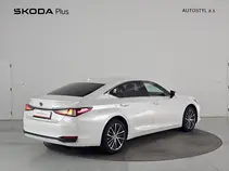 ES 300h