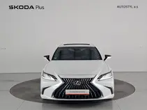 ES 300h