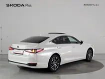 ES 300h 