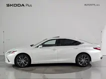 ES 300h 