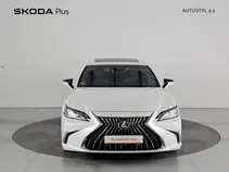 ES 300h 
