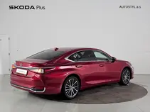 ES 300h 