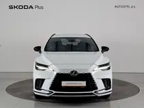 RX 500 