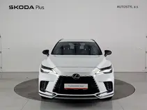 RX 500