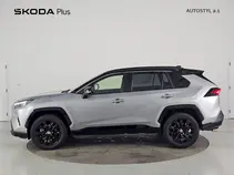 RAV4 