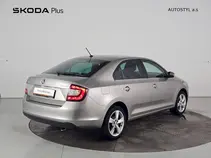 Rapid Style Plus