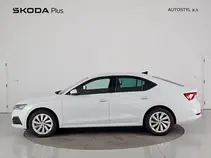 Octavia 
